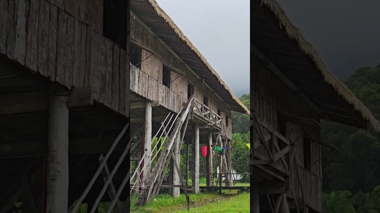 Melanau Tall house #nature #travel