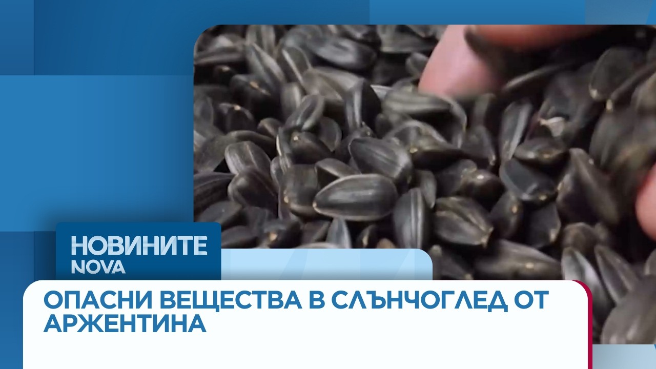 Откриха опасни вещества в тоновете слънчоглед, пристигнали с кораби от Аржентина | 10 мар. 2026