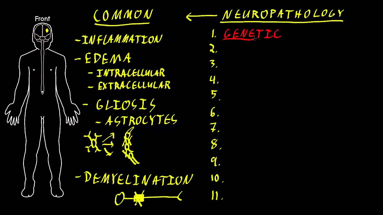 Neuropathology