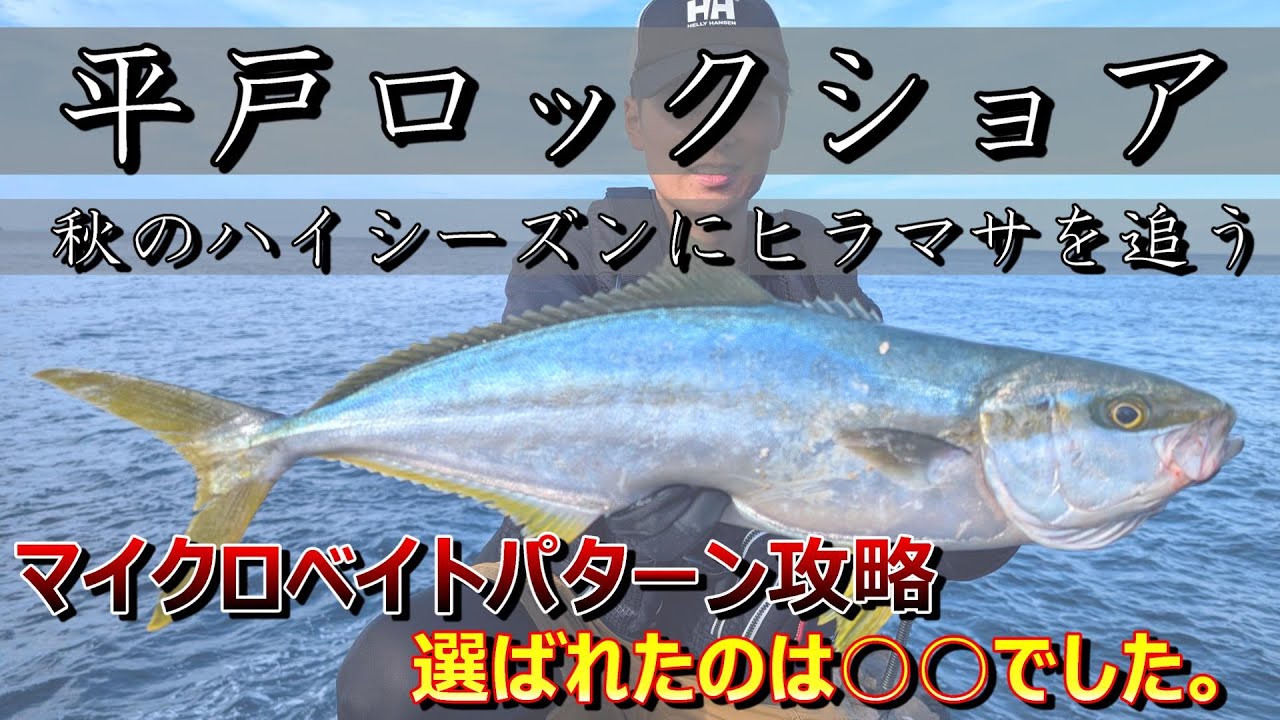 【平戸ロックショア】マイクロベイトパターン攻略！秋のヒラマサを追う！！ #07