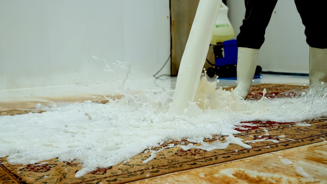 You Won’t Believe How Much Mud Came Out of This Rug! | Satisfying Video, ASMR Cleaning