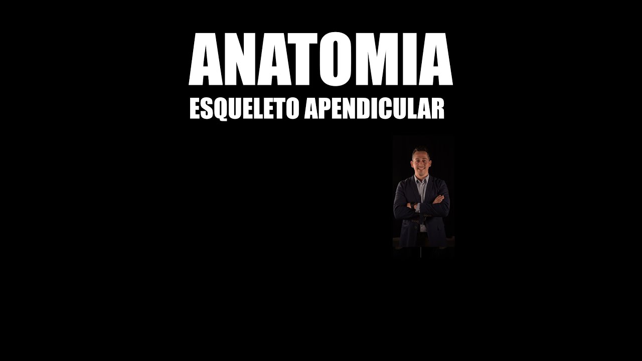 Anatom&iacute;a esqueleto apendicular