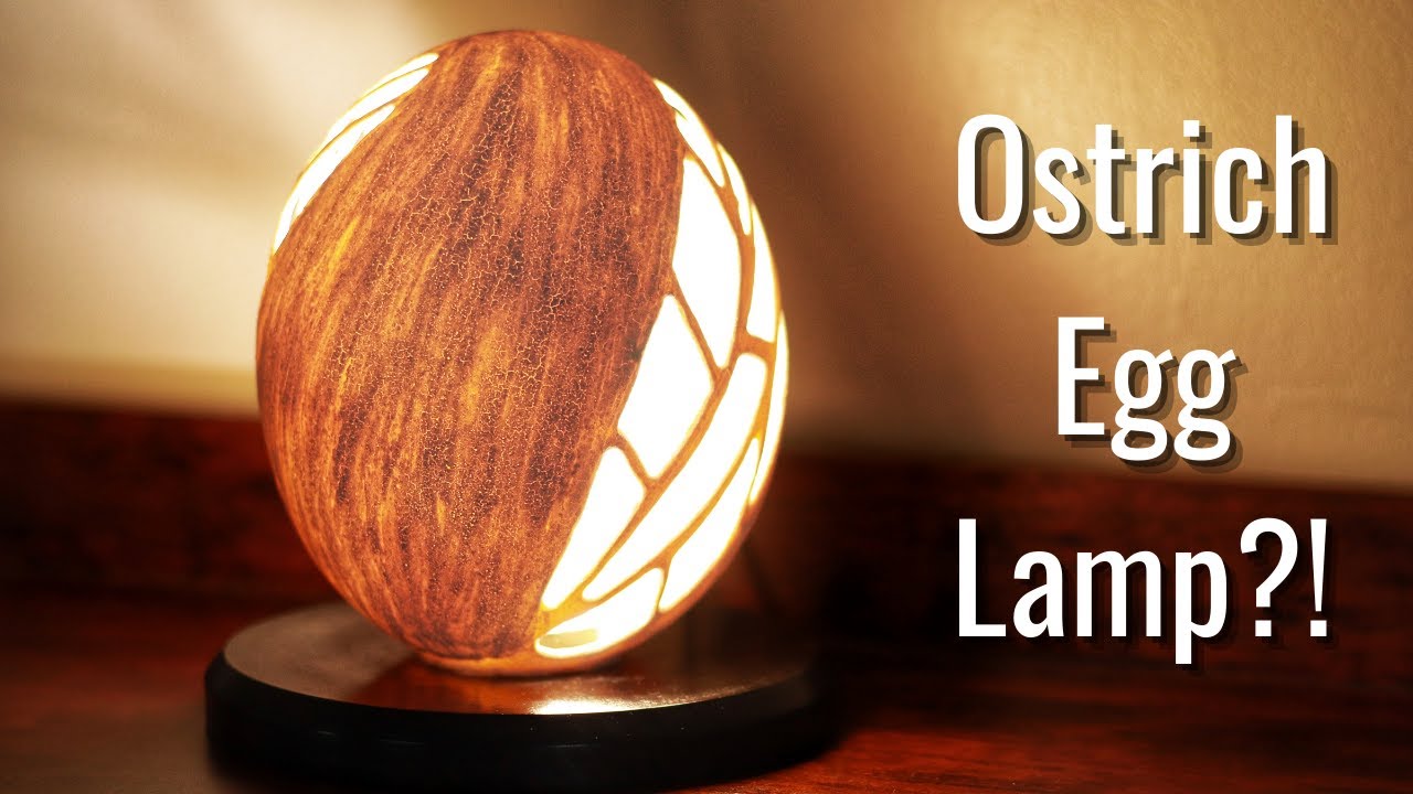 How to make an Ostrich Egg into a Lamp! // Woodworking // DIY