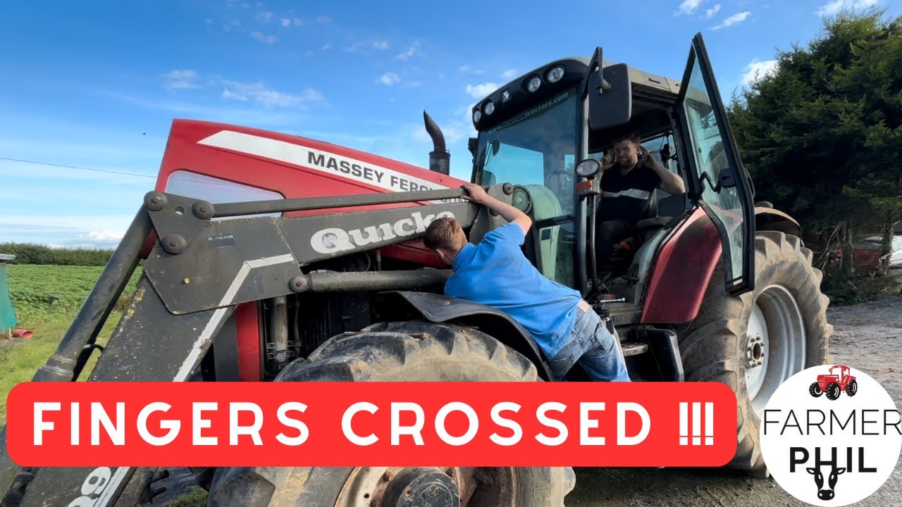 WE FOUND THE PROBLEM! | MF 6480