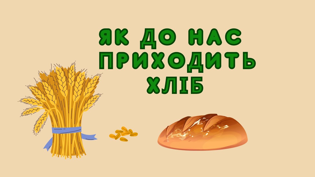 Як до нас приходить хліб