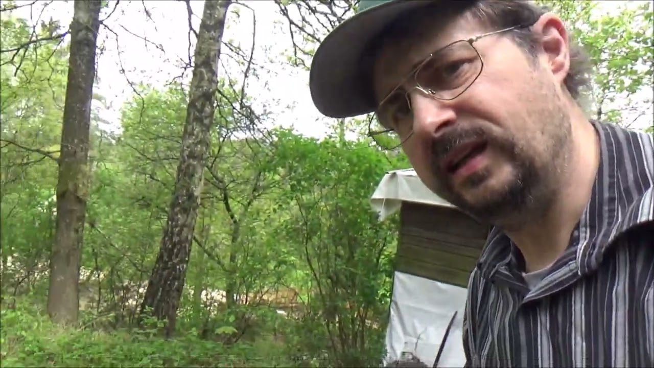 Imkerei 2024 Nr  2  Analyse Kastenverlust über den Winter