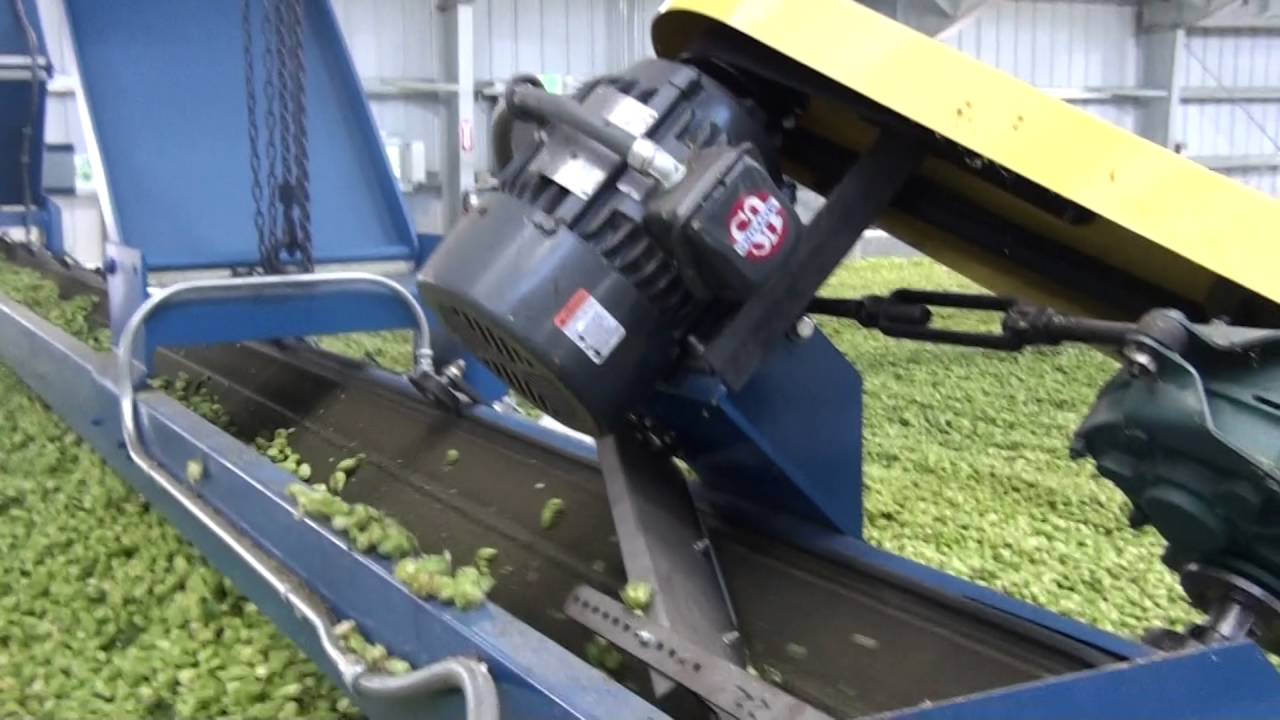 hop kiln layer2 yakima september 2016