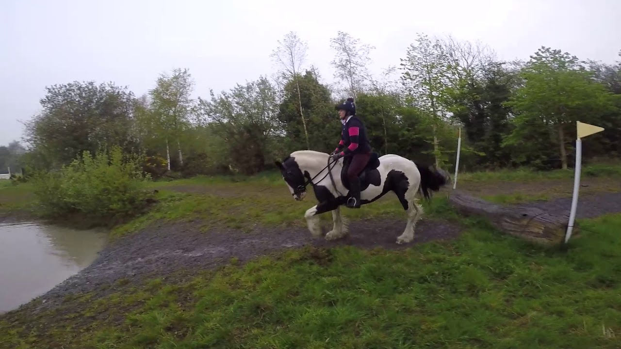Gypsy cob Paddy Cross country schooling at Ballygraffan, County Down with Flynn