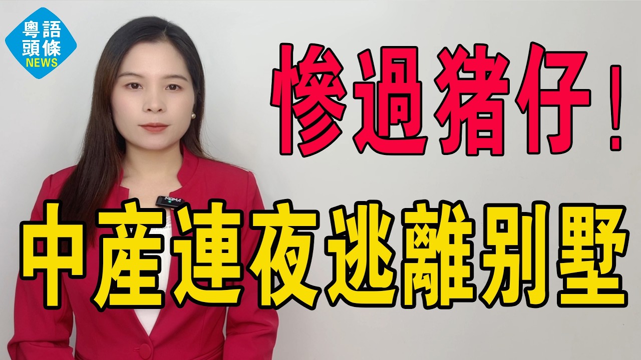 慘過豬仔！600萬跌到180萬！暴跌70%！連夜逃回市區，越有錢越不住別墅？當年吹爆嘅「成功人士夢」，今日成咗最大金融陷阱，揭開大平層爆火的紮心真相！ #房地產 #大灣區樓盤 #別墅 #房價 #投資