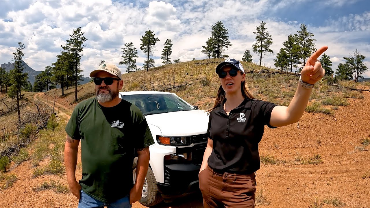 Celebrating our 40-year partnership with the Colorado State Forest Service
