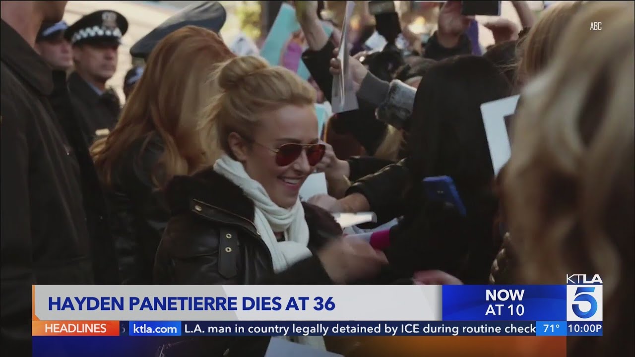 Actress Hayden Panetierre dead at 36