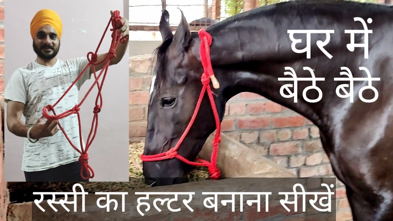 सबसे आसान तरीके से रस्सी का हल्टर बनाना सीखें | How To Make Rope Halter for Horses