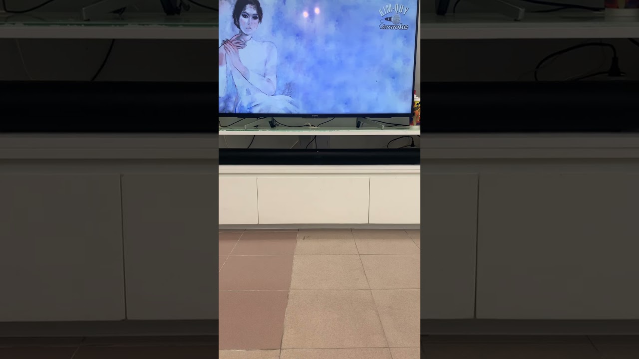 Lệ Đá - Trần Trịnh