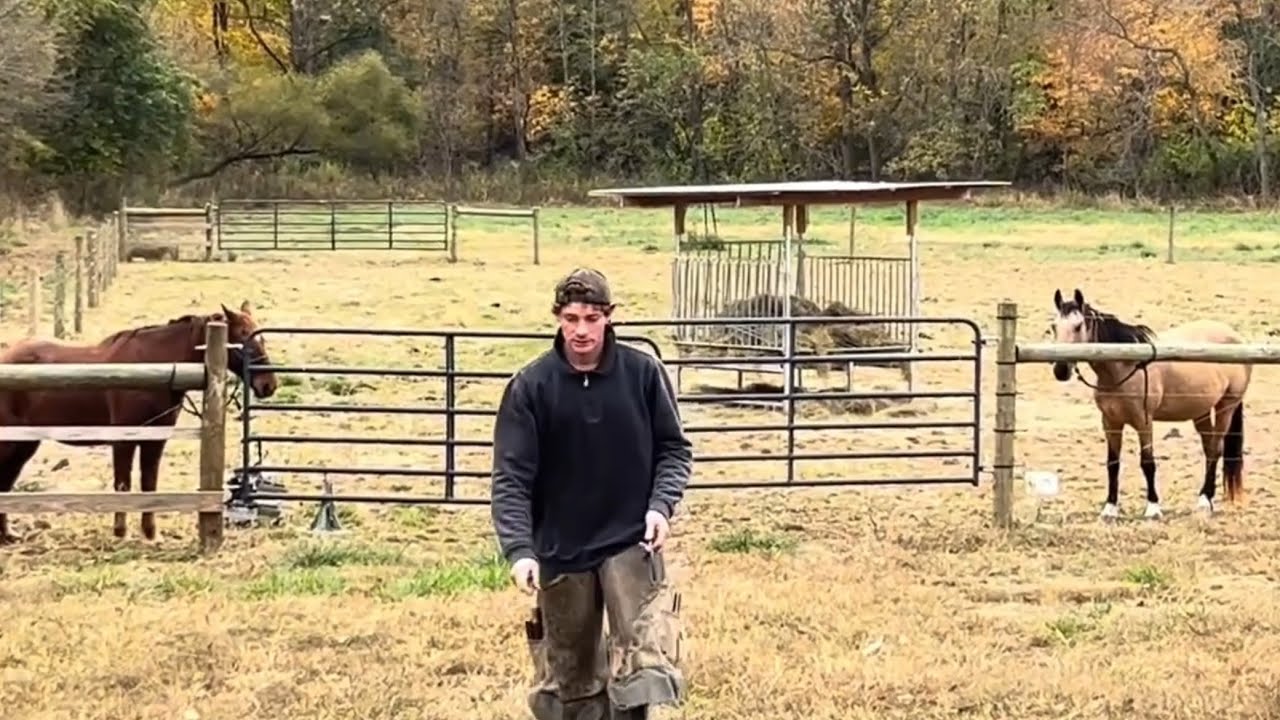Trimming and shoeing with JB farrier. nov 1 2025