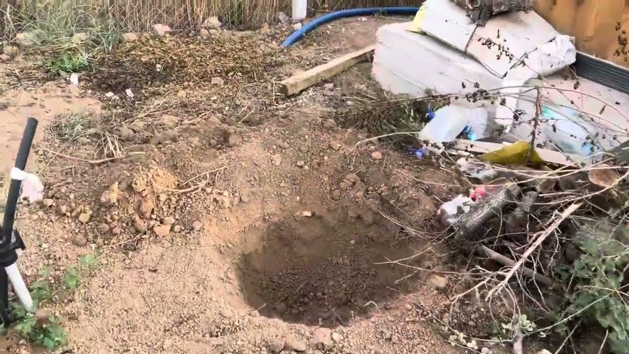 3 DÖNÜM ARSAYA MEYVE AĞACI DİKİMİ / Malatya Yeşilyurt Dilek /