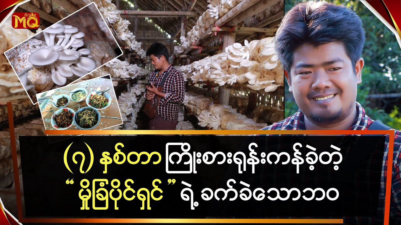 (၇) နှစ်တာ ကြိုးစားရုန်းကန်ခဲ့တဲ့