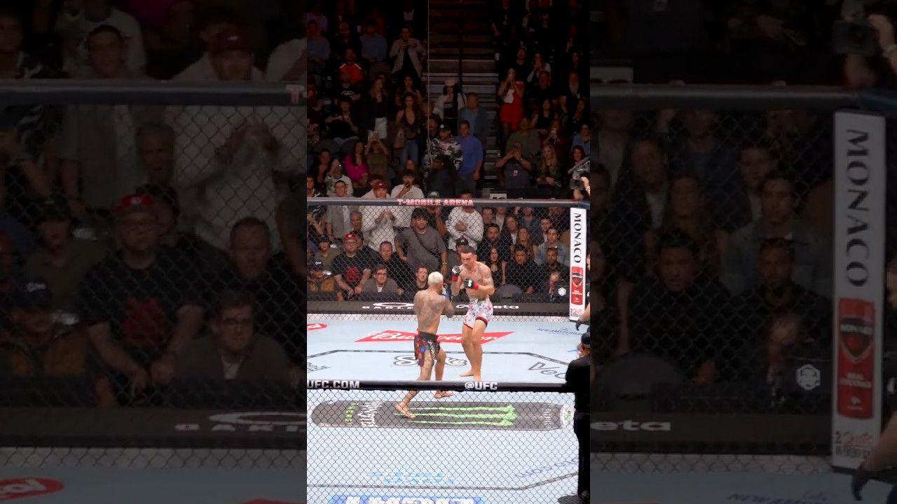 POV: voc&ecirc; est&aacute; vendo Charles do Bronxs e Max Holloway de dentro da arena! #UFC326