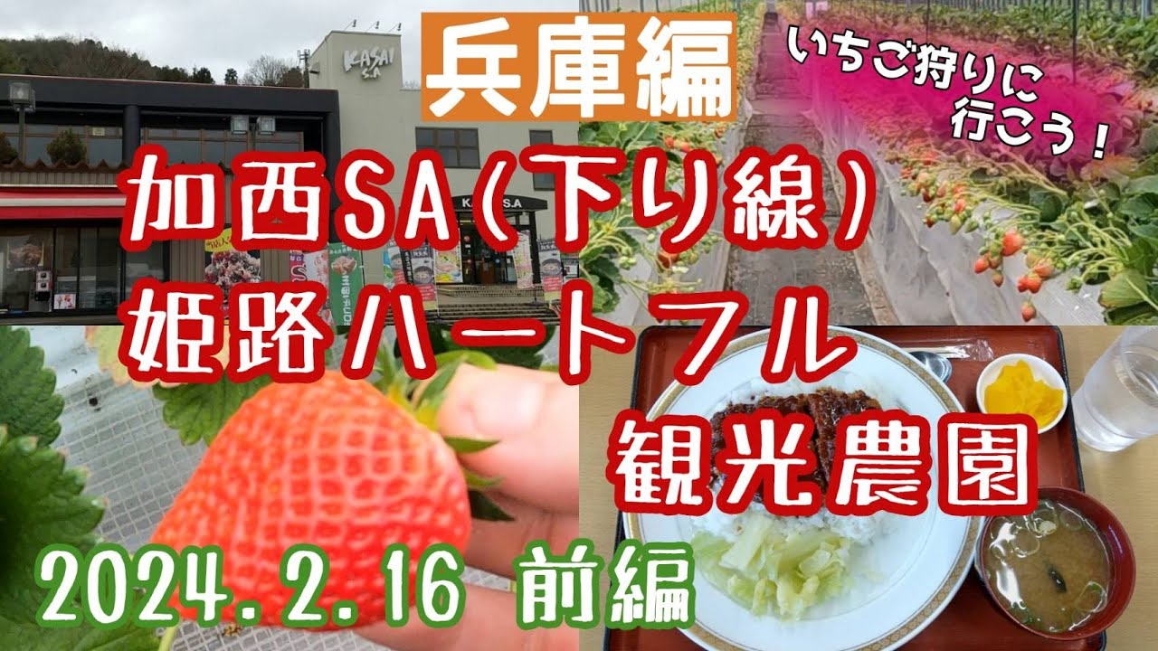 【兵庫】加西サービスエリア(下り線)と姫路ハートフル観光農園「魔法のいちご」