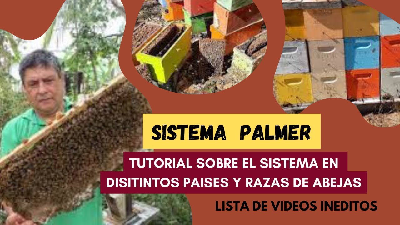 Conociendo el SISTEMA PALMER version SAN ANDRES, previo a la explicacion completa . SUMATE