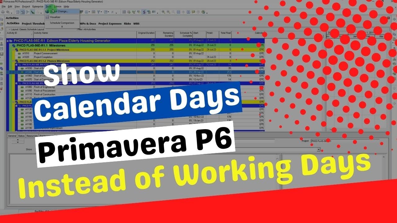 How to Show Calendar Days in Primavera P6: Show Calendar days not working days Simple Tips