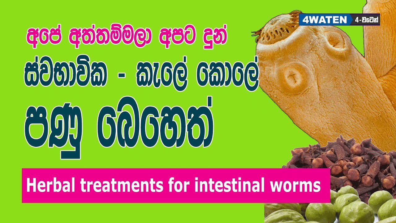 Intestinal worms treatments : පණුවන් නසන දේශීය ඖෂධ
