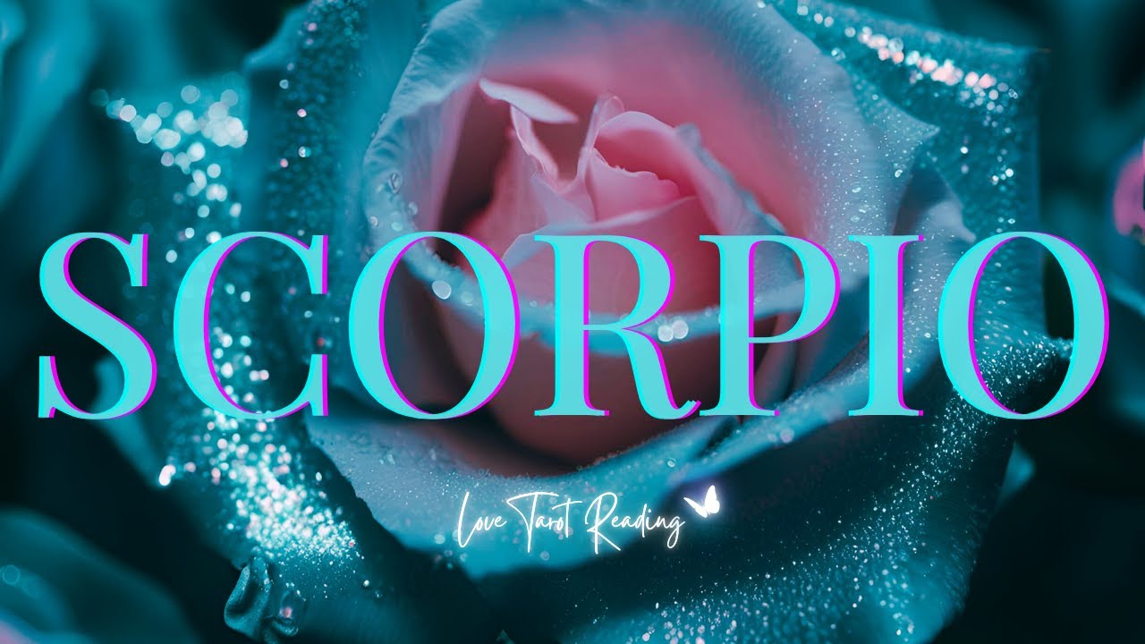 ❤️‼️ SCORPIO They Want You Back, You Might Be Busy With Someone Else! Scorpio Soulmate Tarot Reading