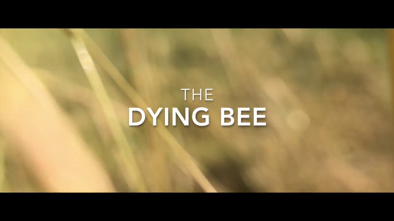 The Dying BEE