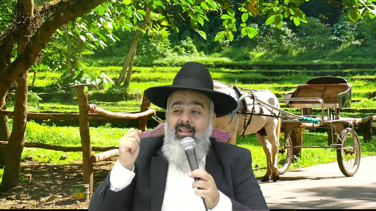 סיפור מצחיק ומרתק על העגלון ה..צדיק בבית הכנסת של העגלונים  ה...צדיקים