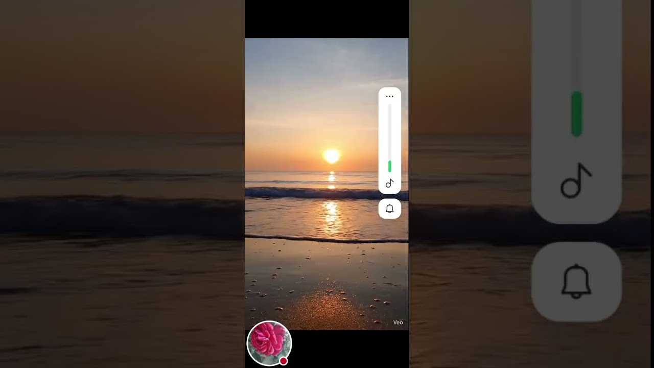 Nature and Zee 01 is live!