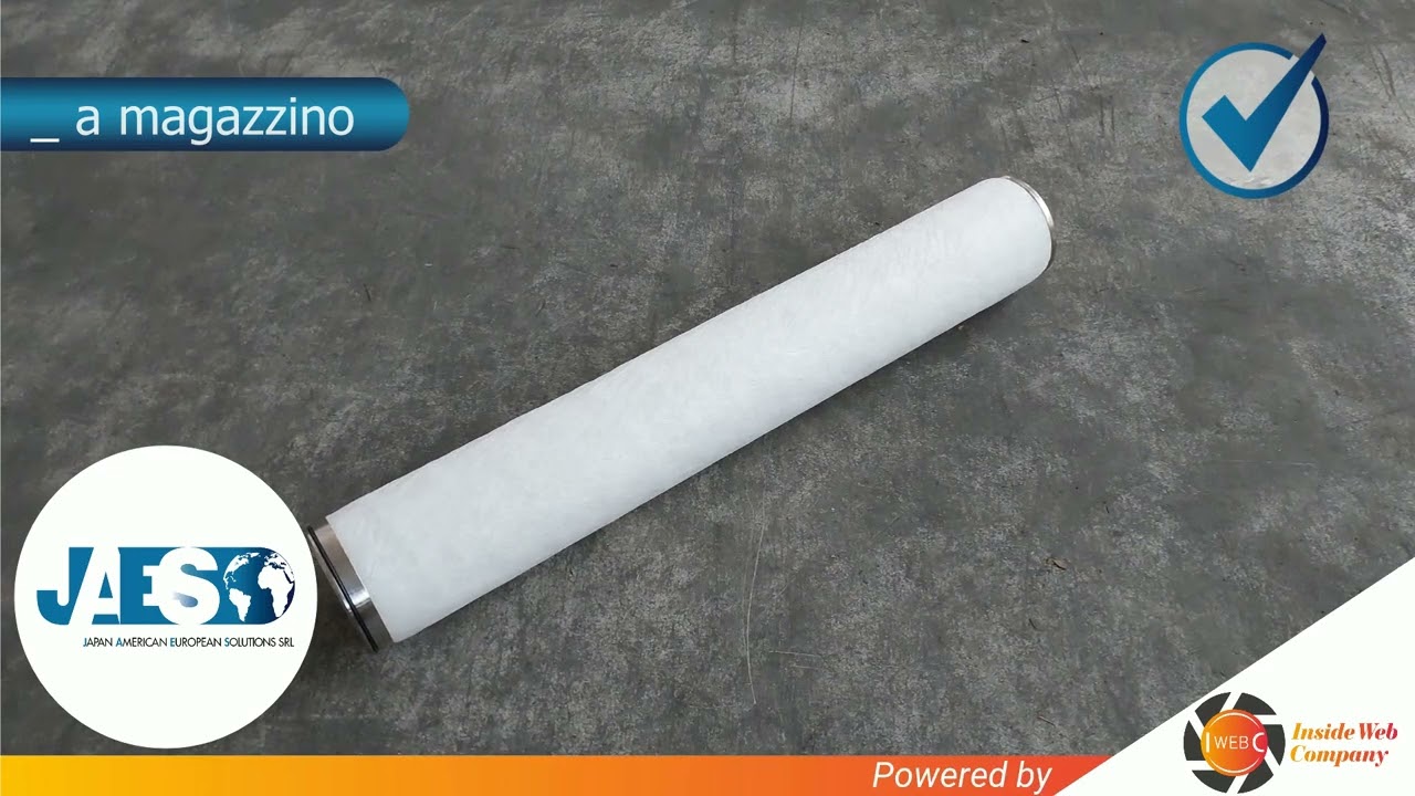 PALL CS604LGH13 (INSTOCK) FILTER ELEMENT - ELEMENTO FILTRANTE