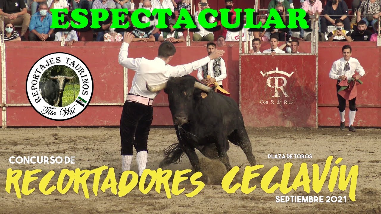 IMPRESIONANTE CONCURSO DE RECORTES EN CECLAVIN (CACERES) 2021
