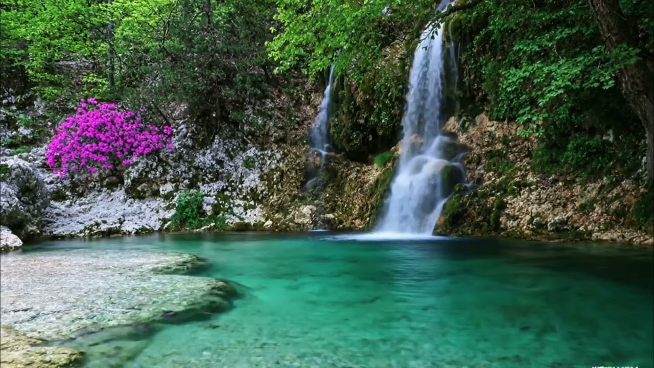 Gentle Piano Music & Water Sounds | Calm Your Mind and Meditate,Relaxing, Spa 💐