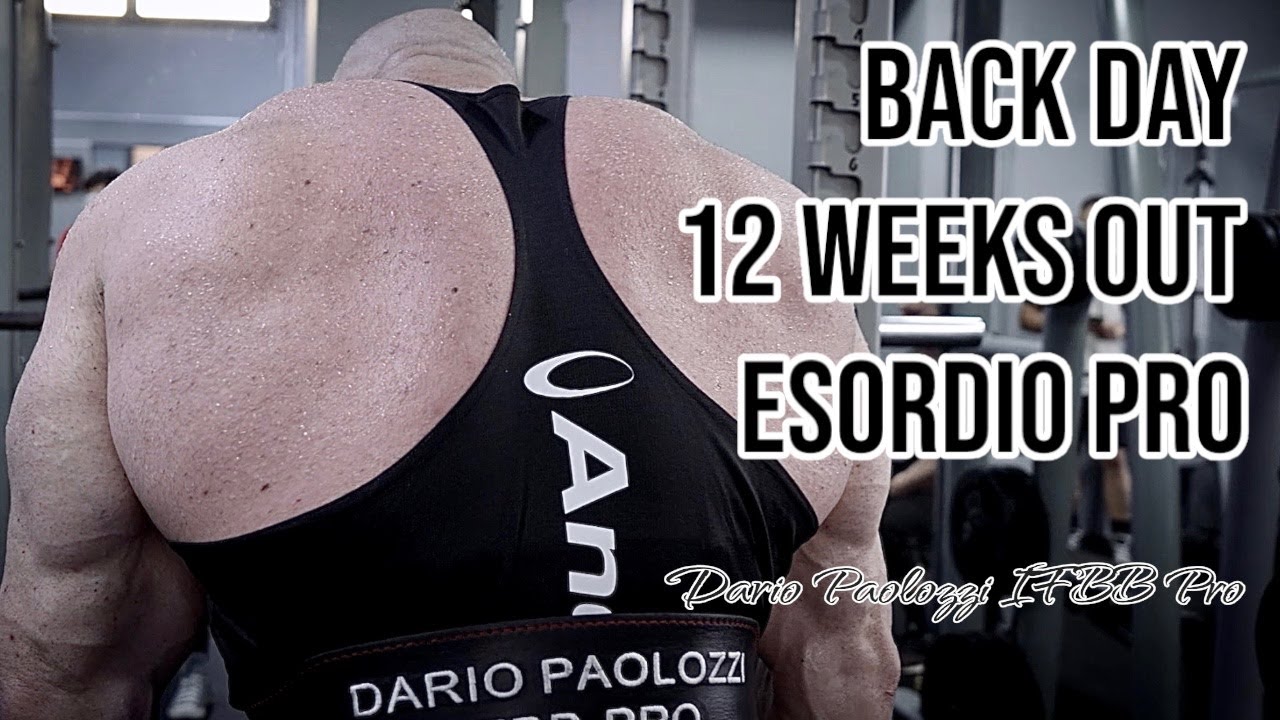 1º BACK DAY a 12 settimane dal mio esordio Pro