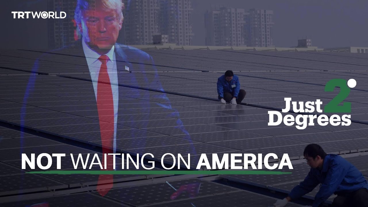 The renewable renaissance is not waiting for the US