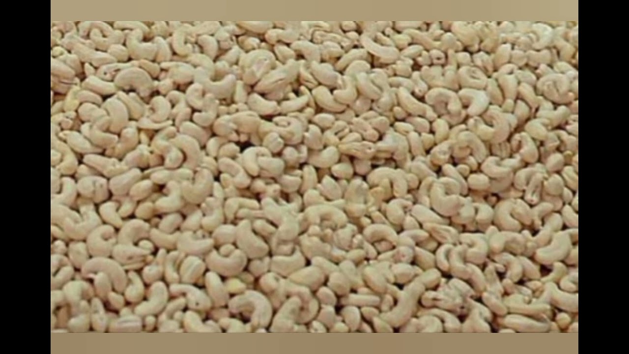 കശുമാവും കശുവണ്ടിപ്പരിപ്പും.