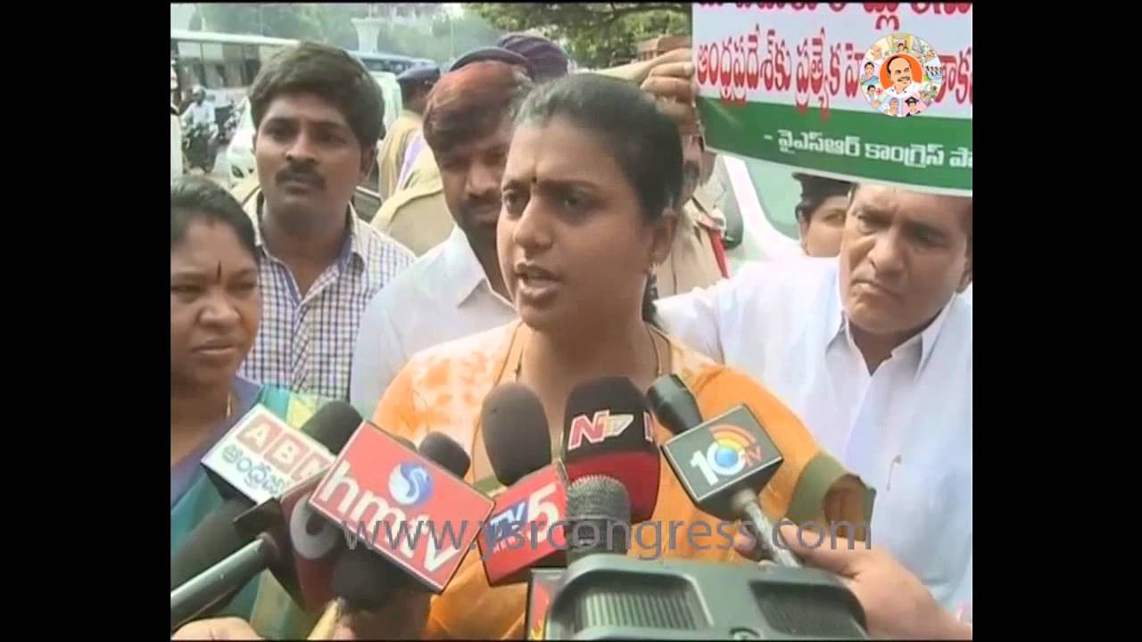 YSRCP MLA RK Roja speaks to media at AP Assembly - 31st Aug 2015