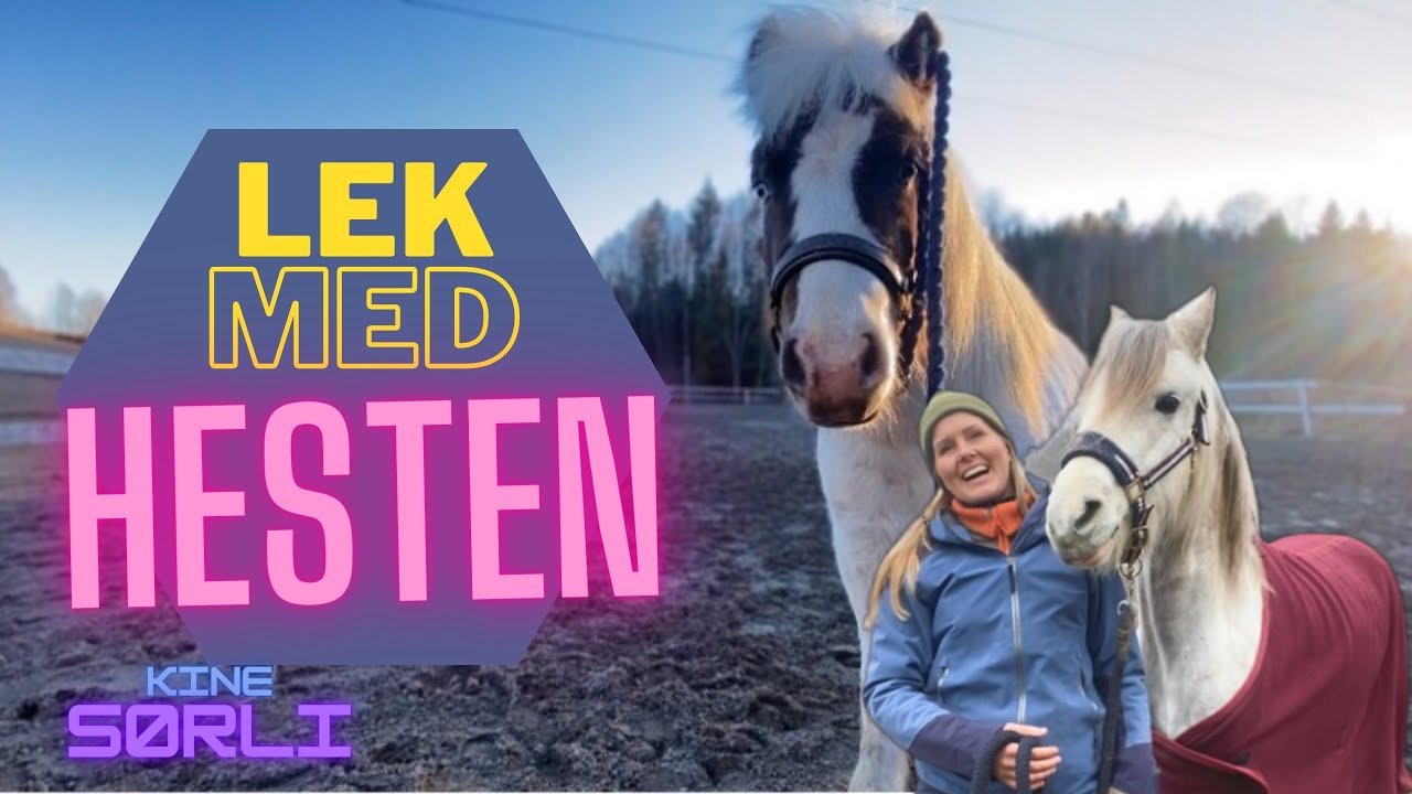 LEK MED HESTEN | Kine Sørli VLOG30