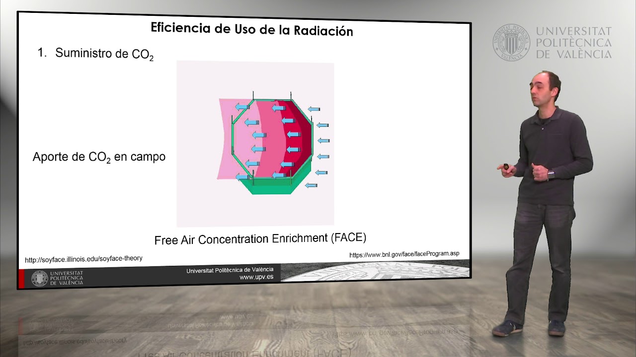 El rendimiento de los cultivos. Incremento de la eficiencia fotosintética | 76/95 | UPV