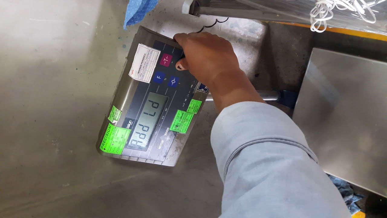 Calibracion de un terminal Mettler Toledo Wildcat