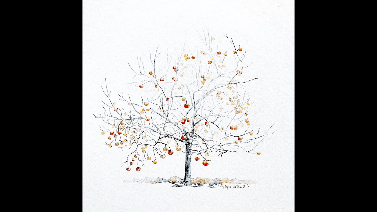 Plaqueminier ou arbre à kakis