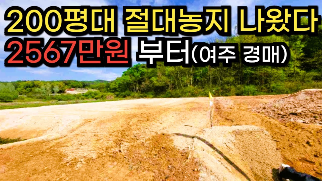 200평대 절대농지 나왔다! 이 가격, 왜 가능할까? 여주시 토지 경매