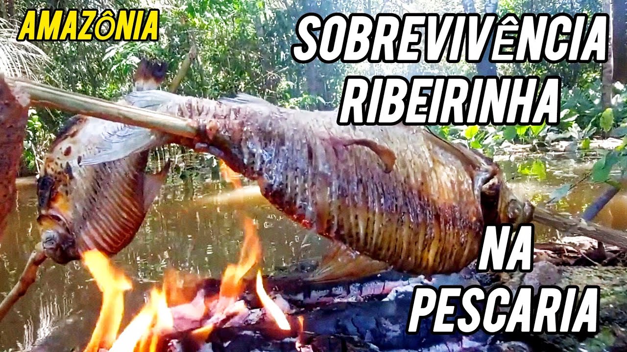 SOBREVIVÊNCIA RIBEIRINHA NA PESCARIA NO AMAZONAS, PESCARIA DE CANIÇO E PEIXE ASSADO.