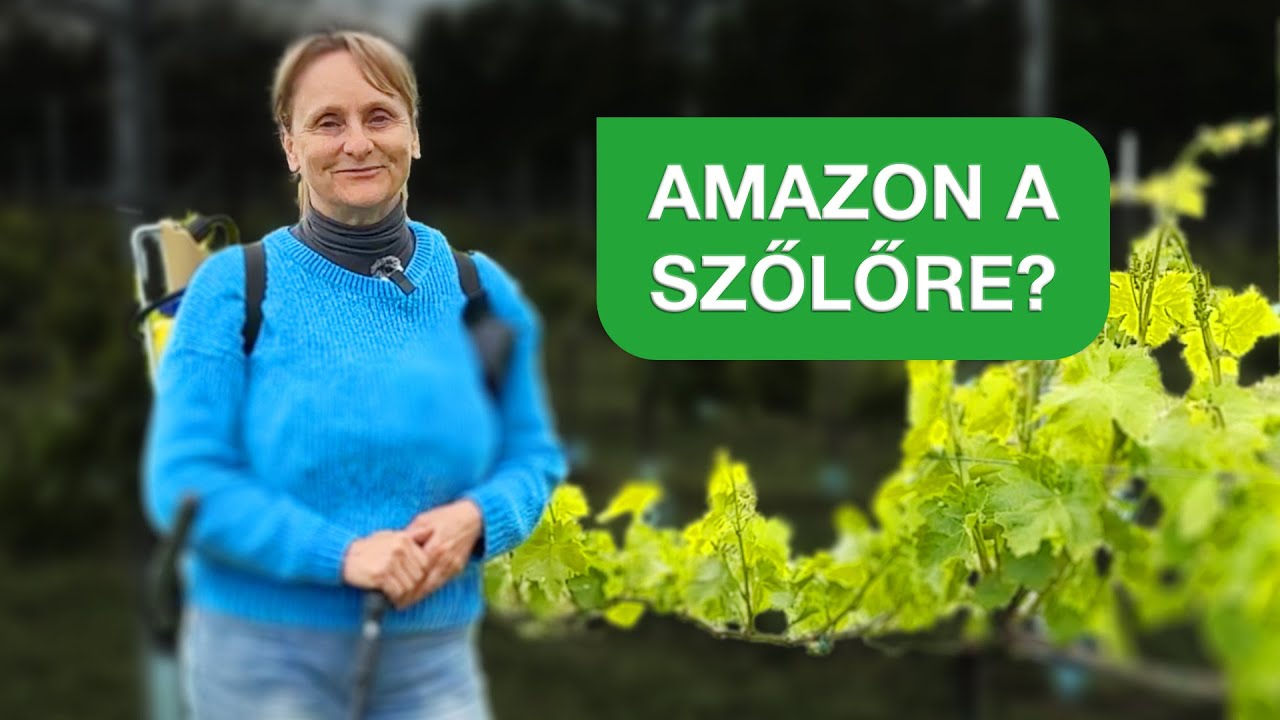 Bio védekezés a szőlőre? 🌱🍇 Szőlőkezelés biológiai módon – Amazonnal!