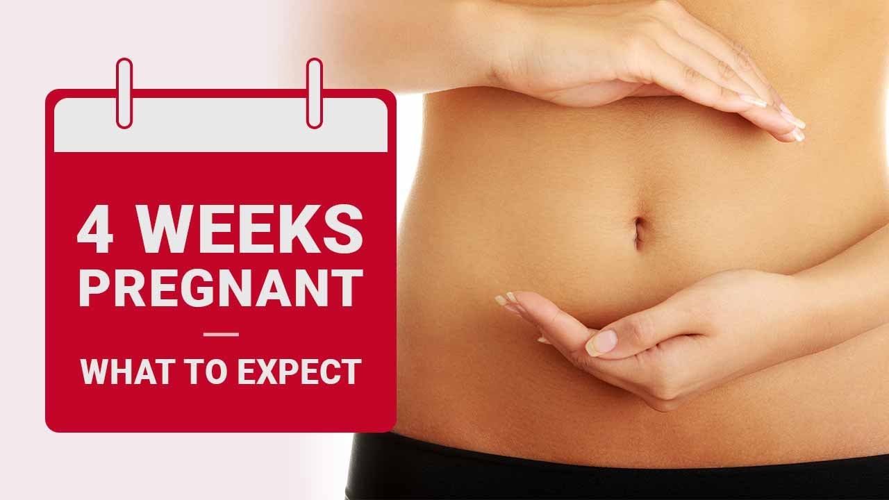 4 Weeks Pregnant - What to Expect | Pregnancy Week By Week