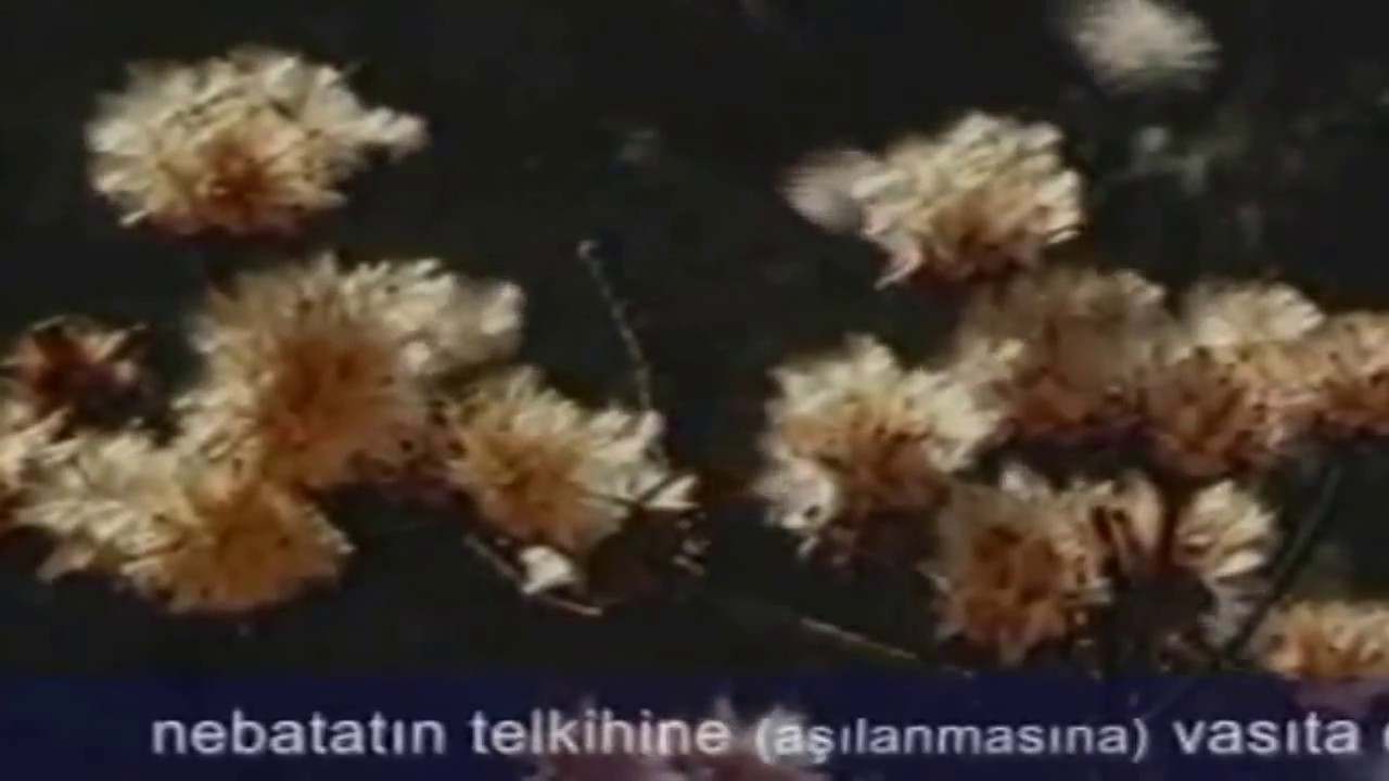 Ayet&uuml;l k&uuml;bra 1