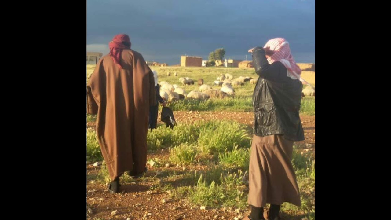 تراث الرقة _ شتريدين وشتريدين بس قوليلي شتريدين انا ادور بس رضاج وانتي عن دربي تصدين