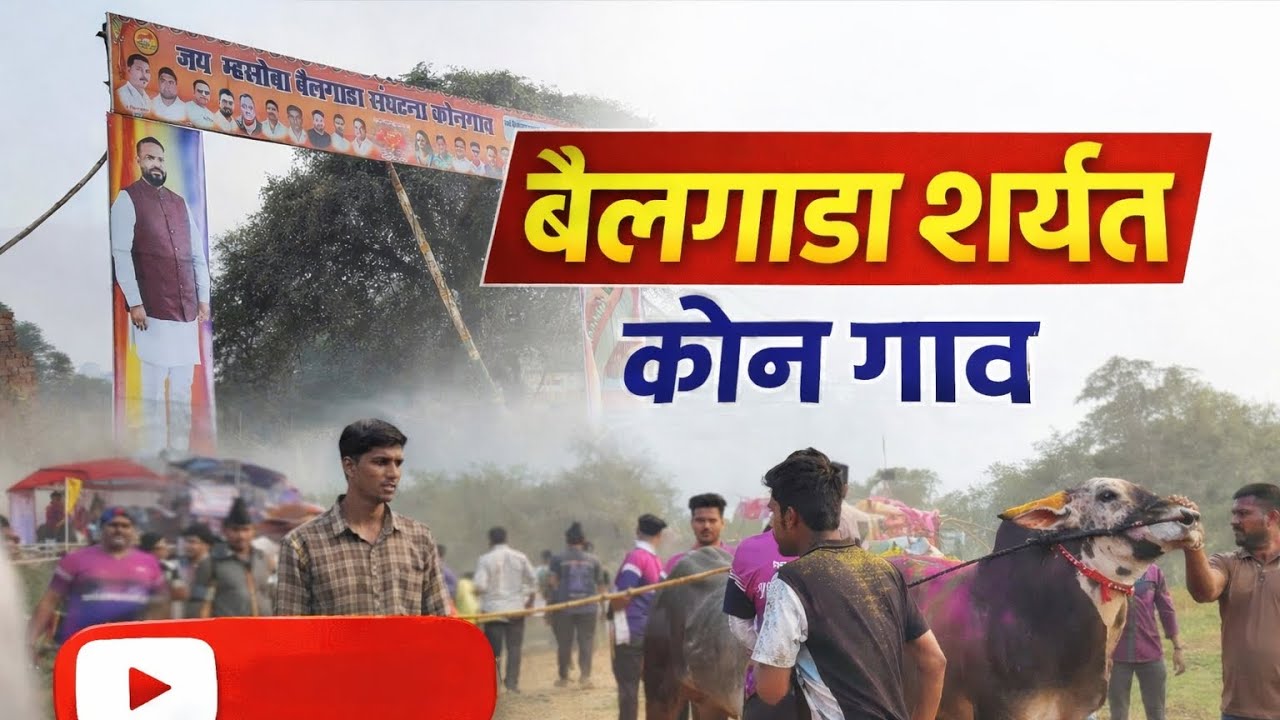बैलगाडा शर्यत कोन गाव #बेलीप्रेमी#बैलगाडा_शर्यत_महाराष्ट्र 