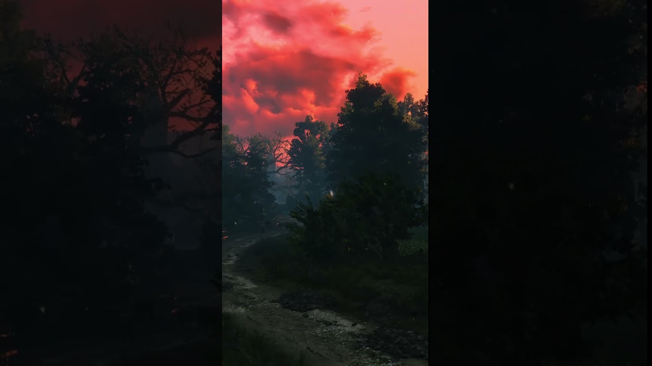 The Witcher 3 City to City Pt  55