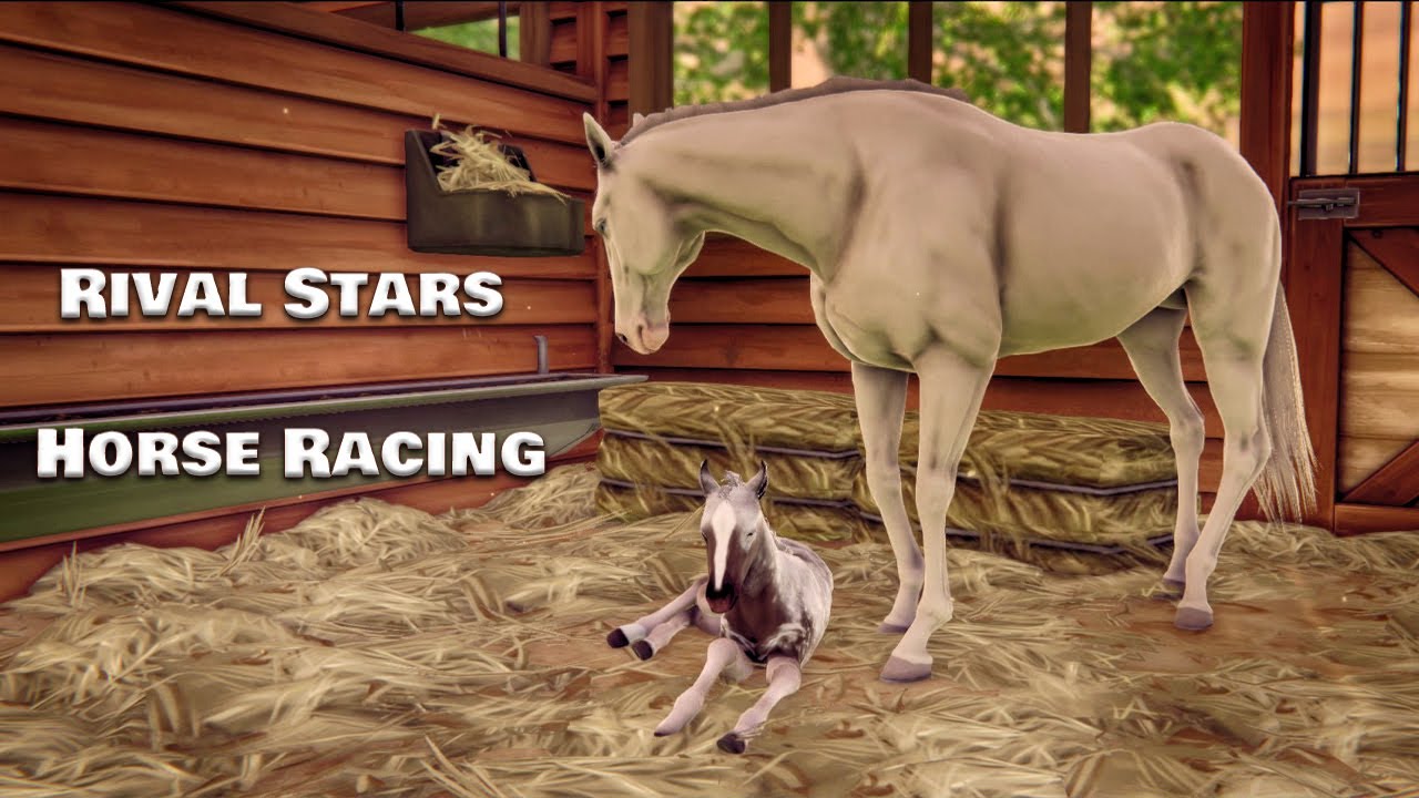Rival Stars Horse Racing. Офигенный серый жеребенок! Создаю своего Real Dream в игре!