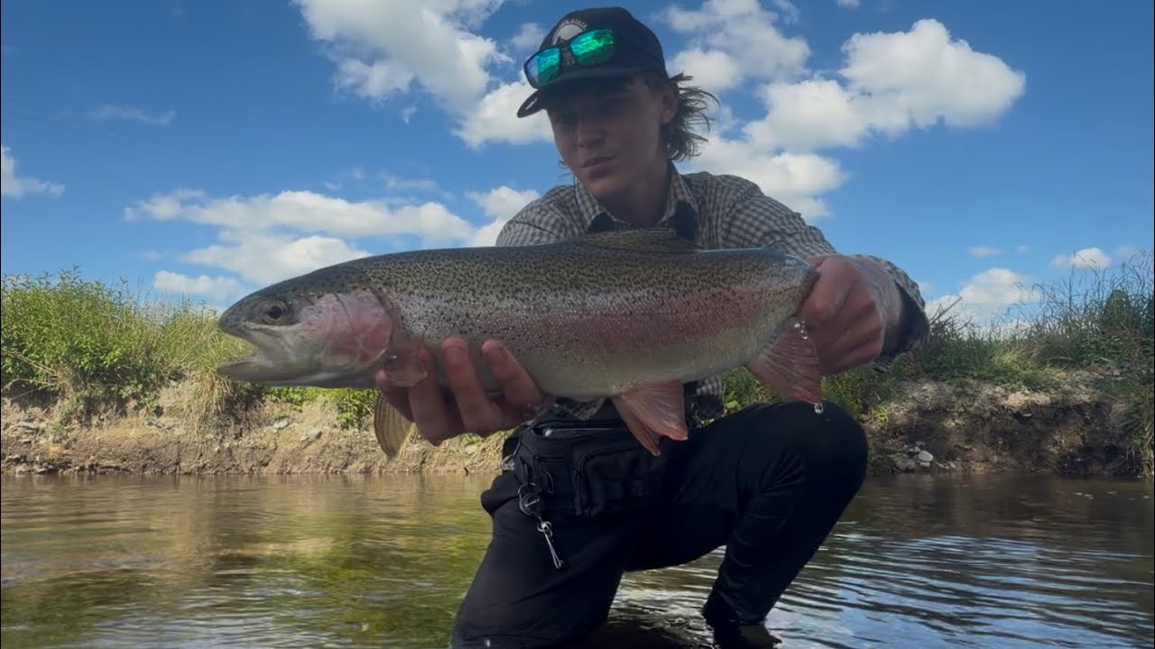 You Won’t Believe the Trout Living in This Tiny NZ Creek